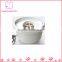 Plastic automatic pet drinking fountain