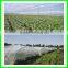 Large Size and Multi-Span Agricultural Greenhouses Type Green House Anti Insect Netting