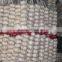 Professional Garlic Exporter for PK 5CM Garlic 20KG Mesh Bag Garlic