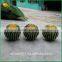 Artificial cactus plants outdoor decor artificial cactus plants artificial plants