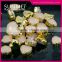 Fashion Gold Claw Heart Shaped Sew on Acrylic Crystal Rhinestones