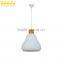 Industrial Light Ceiling Rose Pendant Lamp