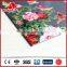 UV Digital printing Aluminium Composite Panel with PE/PVDF Coating