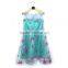 NEW Arrival Frozen Elsa Princess Dress Cinderella Princess Dress Fashion Cosplay Dress