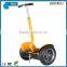 2015 Most Popular 2 Wheeled Self-Balancing Electric Scooter 1000W 48V
