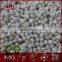 Chinese fresh solo garlic for sale