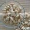 New Crop Roasted Blanched Peanuts Kernels China