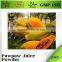BNP supplier natural condensed pawpaw powder