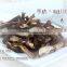 Crispy mushroom VF dried Mushroom chips vegetable snacks