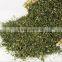Hot new products for 2015 coriander seed price made in china 