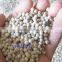 MANUFACTURER OF BLACK PEPPER