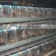 6 tires 400 automatic quails cage one side/6 tiers two sides 800 quails cages