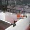 Automatic Pig Farming Equipment for Pig Production with CE Certification