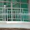 Galvanized steel pipes for fence post / Steel pipe for greenhouse / steel pipe for construction