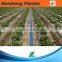 Weifang agricultural water hose