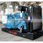 CE 1 year warranty water cooled Doosan diesel generator silent