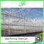 Venlo greenhouse with alternating vents