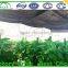 cheap insect proof greenhouse net