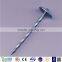 Twist Umbrella roofing nails Galvanized roofing nai /roofing nail with umbrella head