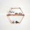Geometric Shelf Stained Large hanging Glass Terrarium