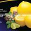 plastic lemon shape saver