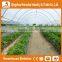 Heracles trade saaurance good quality greenhouse material-200 micron greenhouse film greenhouse for sale