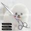 2017 Design Quality Reliability Dog Scissors 8.0 Inch Hot Sale Pet Grooming Scissors