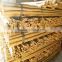 Supply Bamboo Poles /bamboo canes at Cheap Price