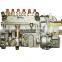 13021363/10402376075/10 402 376 075 Diesel Fuel Injection Pump for WeiChai Deutz TBD226B-6 Engine