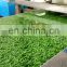 Chininese Popular Grass Design galvanized steel Color PPGI  coil