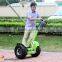 Double Wheels Outdoor Scooter and Adult Electric Personal Transportation Vehical