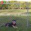 Gi Diamond Wire Mesh Chain Link Fence for Zoo