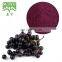 Black Currant Extract Black Currant Fruit Powder