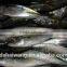 Landing frozen pacific mackerel with size 80-100 pcs / 10kg