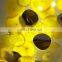 Customized Hotel Lobby Project Luxury Modern Gold Luxury Blown Glass Chandelier