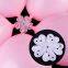 Wholesale Blossom Shape Blower Flower Seal Clip Balloons Sealing Clip Balloon Clips to the Arches Party Supplies