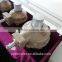 quartz turn handwheel worm gear box operator