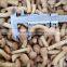 Frozen Pholiota nameko
