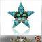 Shinny Rhinestones Star Shape Brooch