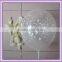 transparent Balloon