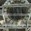 kiwi fruit unhairing machine/gooseberry peeling machine