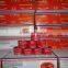 Good Flavour Tinned Tomato Paste export for Africa