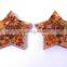 Carnelian Chakra Orgone Pentagram Star
