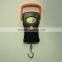 High Precision Mini Portable Digital Hanging Scale