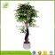 wholesale plastic true trunk high simulation banyan bonsai tree for sale