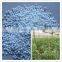 Zinc Sulphate