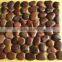Pebble Tile,Stacked Pebble Tile,Decorative Tile, Pebble Meshed Tile