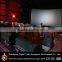 Successful case Malaysia 6D cinema with hydraulic 6 seats
