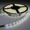 Hot sale non waterproof smd 5050 led strip light led focus light