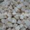 IQF Frozen Pleurotus eryngii cube